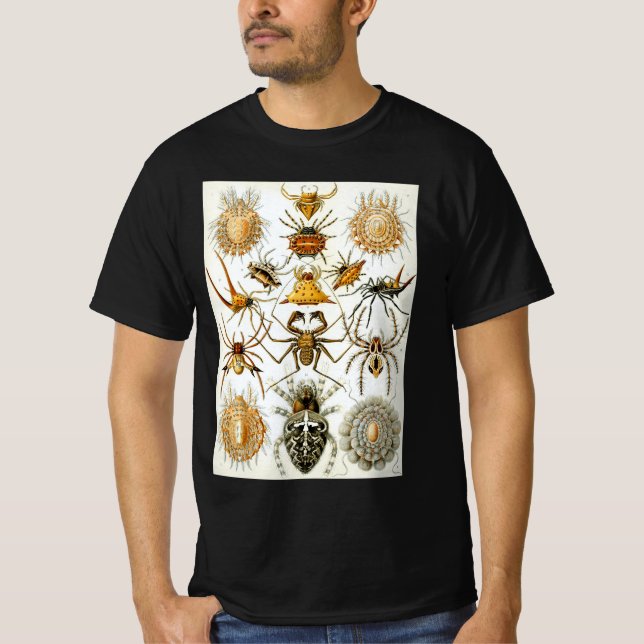 Antika spindlar eller spindeldjur av Ernst Haeckel Tee (Framsida)