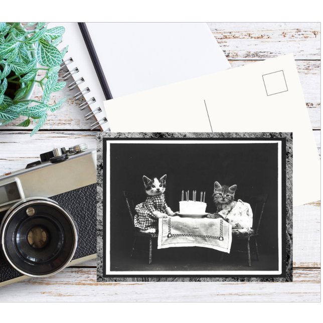 Antika Två Kattungar Och Födelsedagstårtan Vykort (Skapare uppladdad)