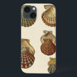 Antikalade Snäckor<br><div class="desc">Konstnären Denis Diderot är begåvad och känd för sitt underbara havsliv i bilder. I den här levande bilden fångar han fyra krackade Conch-paneler i sitt mest naturliga stil. Ofta spricker man sig som de här fyra segelerna och i en sepiatonas tittar ton. Hämta din årstidsprodukt idag och du kan själv...</div>