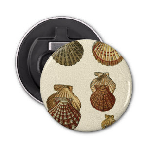 Antikalade Snäckor Flasköppnare