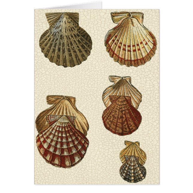 Antikalade Snäckor Hälsningskort (Framsidan)