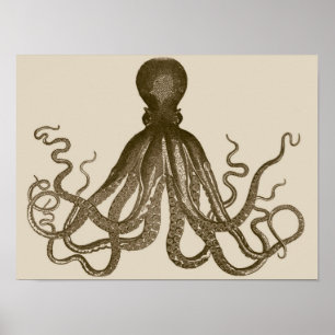 Antikalt bläckfisk Poster
