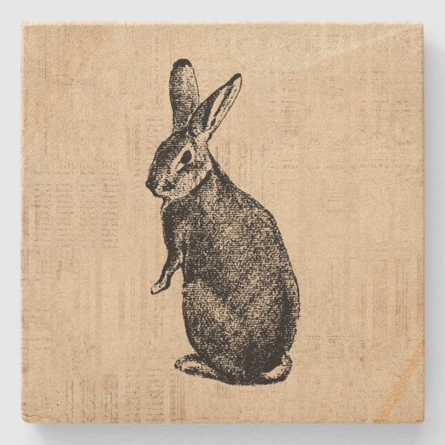 Antikalt kaninillustration Bunny Art med skript Stenunderlägg (Framsidan)