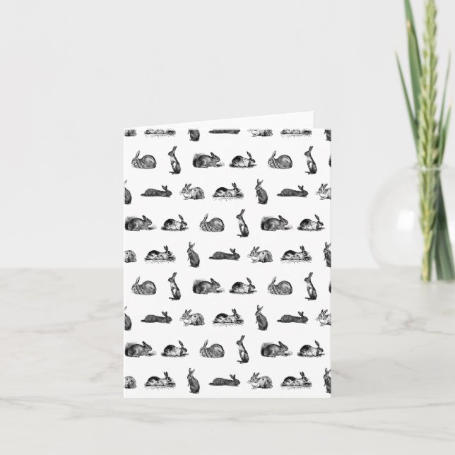 Antikvariska Kaniner Vintage Konst EGEN FÄRG Kort (Framsida)