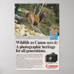 Antikvitet för annonsering för Canon kamera80-tal Poster