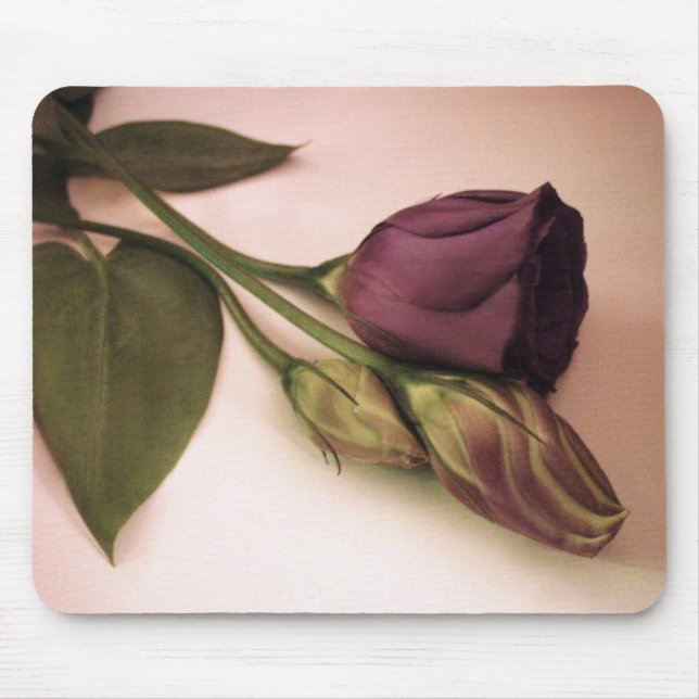 Antikvitet rosa Mousepad Musmatta (Framsidan)