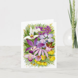Antikvitet-/vintageOrchidsblommigt Notecard Kort