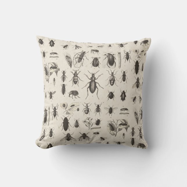 Antikvitetkryp och insekter entomologi kudde (Framsida)