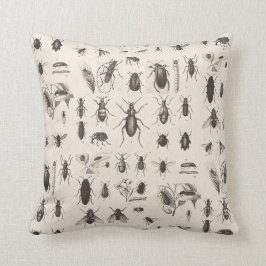 Antikvitetkryp och insekter entomologi kudde
