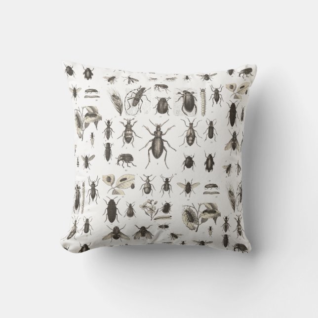 Antikvitetkryp och insekter entomologi kudde (Framsida)