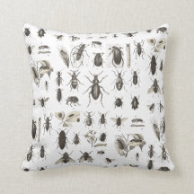 Antikvitetkryp och insekter entomologi