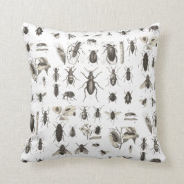 Antikvitetkryp och insekter entomologi kudde