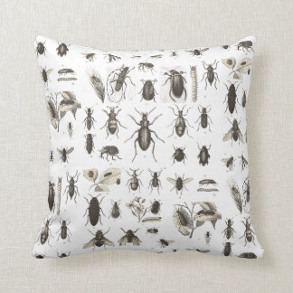 Antikvitetkryp och insekter entomologi kudde