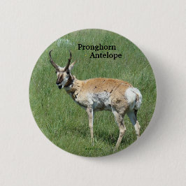Antilop för A3 Pronghorn Knapp