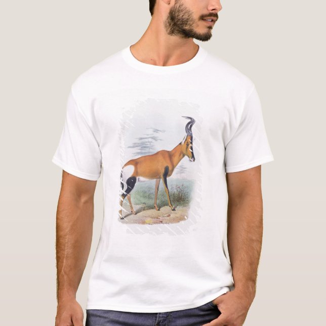 Antilop från "boken av antilop, t-shirt (Framsida)