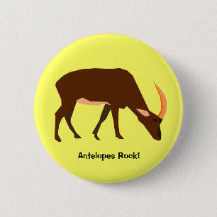 Antilop knäppas knapp