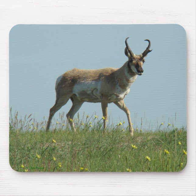 Antilop och vildblommar för A10 Pronghorn Musmatta (Framsidan)