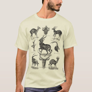 Antilop T Shirt