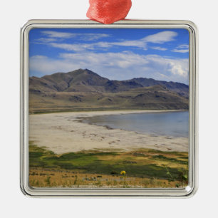 Antilopödelstatspark, Great Salt Lake, Julgransprydnad Metall