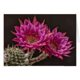 Antimateria-blommor Hälsningskort