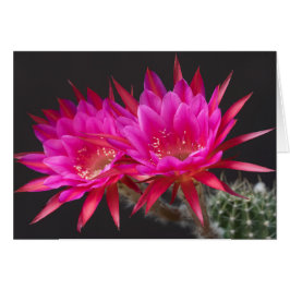 Antimateriell tid två hälsningskort