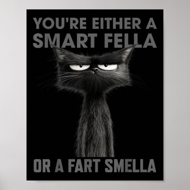 Antingen Är Du En Smart Kille Eller En Fjärt Lukts Poster (Framsidan)