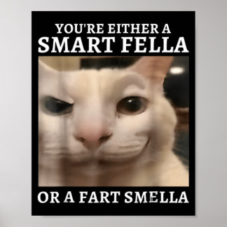 Antingen en smarting eller en fjärtstinkare Rolig Poster