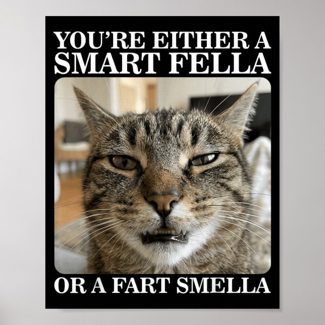 Antingen en smarting eller en prutstinker Rolig ka Poster (Framsidan)