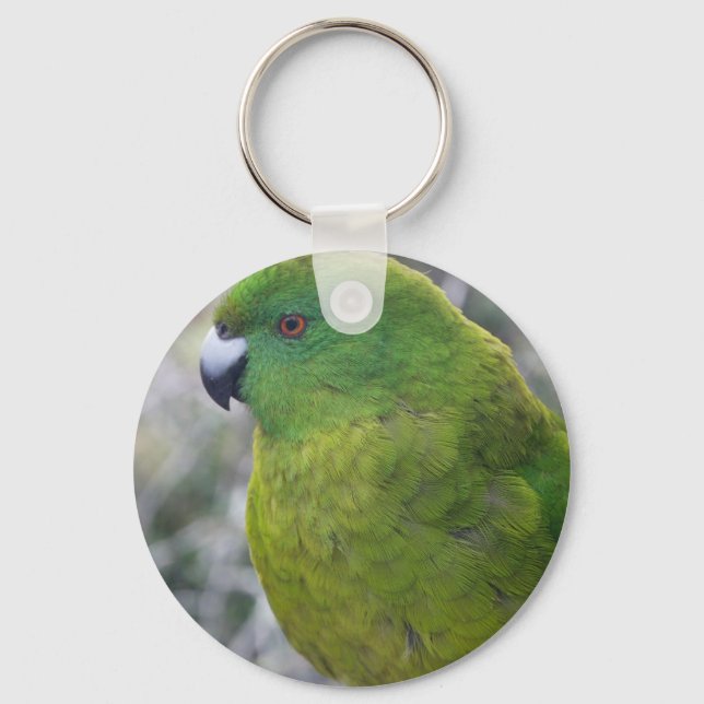Antipodes Island Parakeet Nyckelring (Framsida)