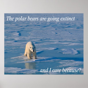AntiPolar Bears Poster