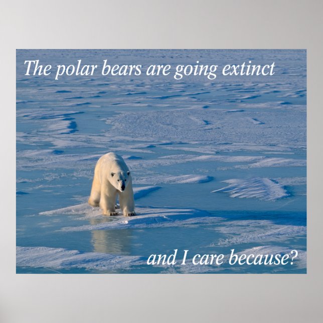 AntiPolar Bears Poster (Framsidan)