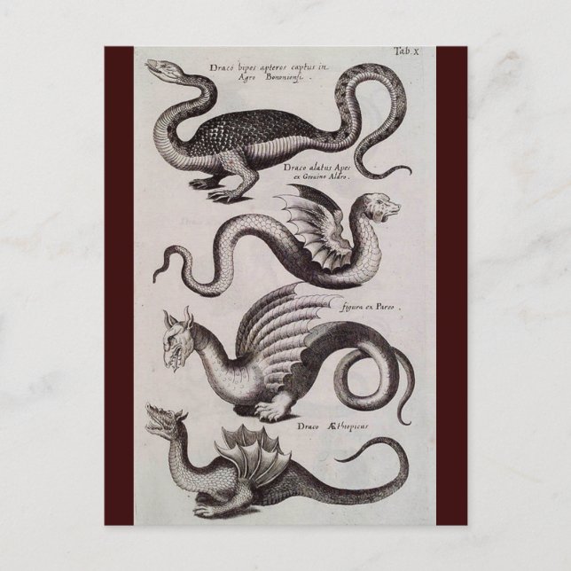 Antique 1800 Dragon Engrave Vykort (Framsida)