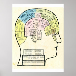 Antique 1857 phrenological head and Chart Poster