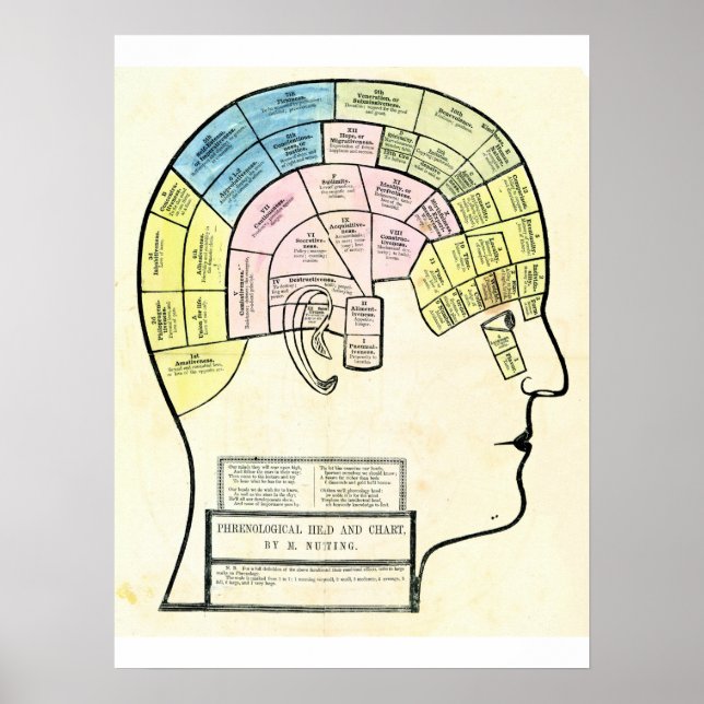 Antique 1857 phrenological head and Chart Poster (Framsidan)
