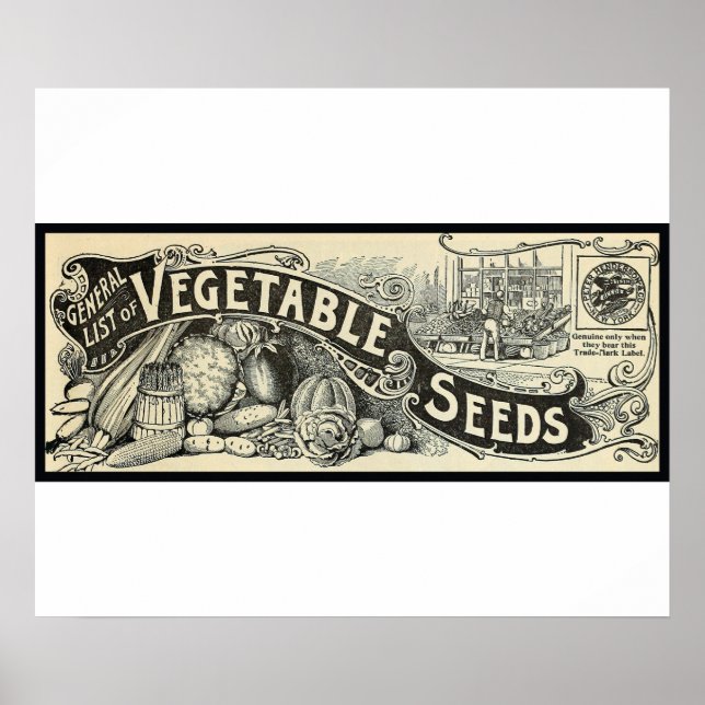 Antique 1894 Vegetable Seeds Sign Poster (Framsidan)