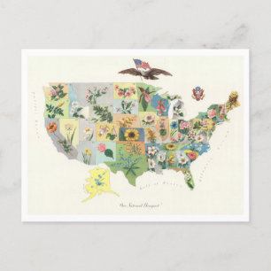 Antique 1911 USA State Flowers Karta Vykort