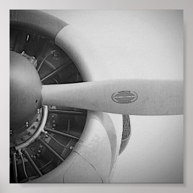 Antique Airplan Propeller Black and White Poster (Framsidan)