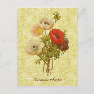 Antique Anemone Botanical Vykort