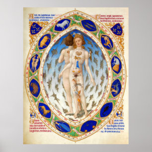 ANTIQUE ASTROLOGY,MICROCOSMO OCH ZODIACAL SIGNS POSTER