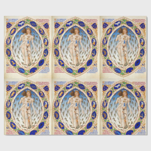 ANTIQUE ASTROLOGY OCH ZODIACAL SIGNS CHART PRESENTPAPPER (Platt)