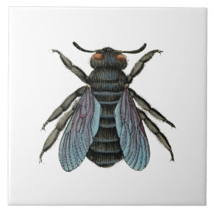Antique Bee Typografiska Vintage Honungsbin Art Kakelplatta