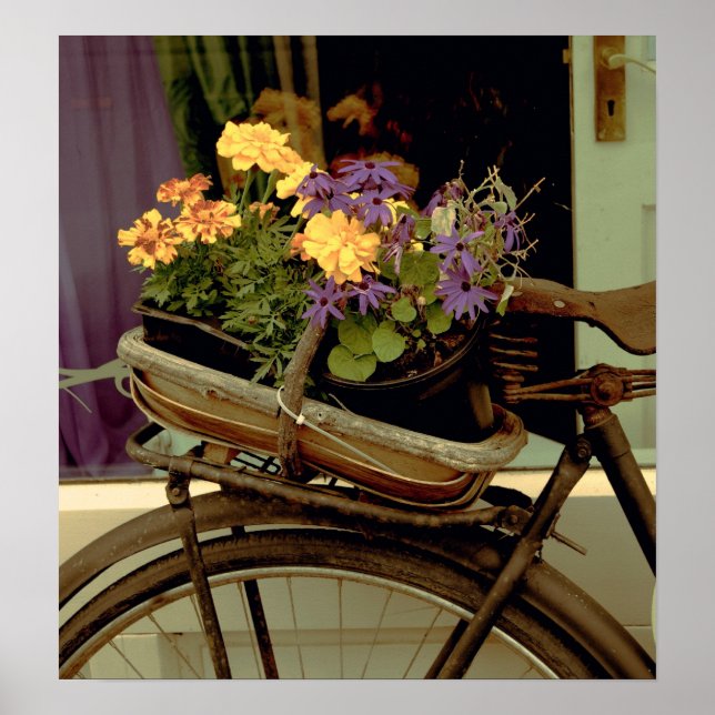 Antique Bike och blommor Poster (Framsidan)