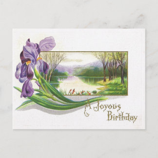Antique Birthday Post Card-Lila Iris Flower Vykort