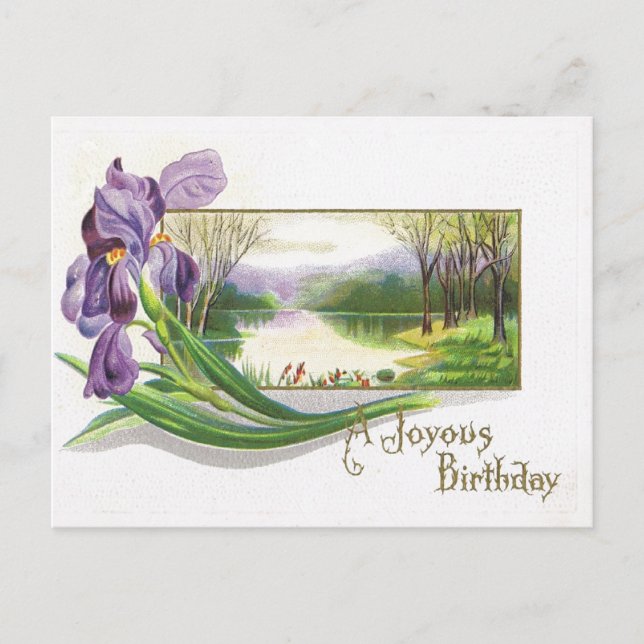 Antique Birthday Post Card-Lila Iris Flower Vykort (Framsida)