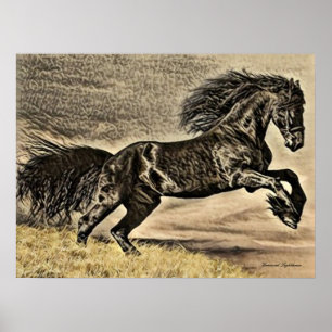 Antique Black Stallion Horse Poster