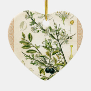 Antique Blackthorn botaniskt tryckfärdigt berry Julgransprydnad Keramik