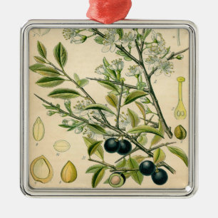 Antique Blackthorn botaniskt tryckfärdigt berry Julgransprydnad Metall