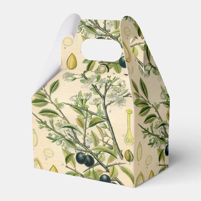 Antique Blackthorn botaniskt tryckfärdigt berry Presentaskar (Framsidan Sidan)