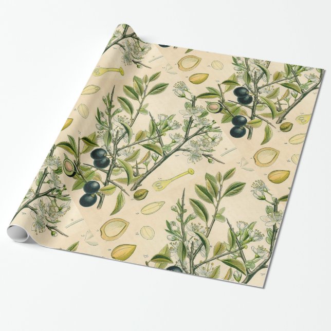 Antique Blackthorn botaniskt tryckfärdigt berry Presentpapper (Utrullad)