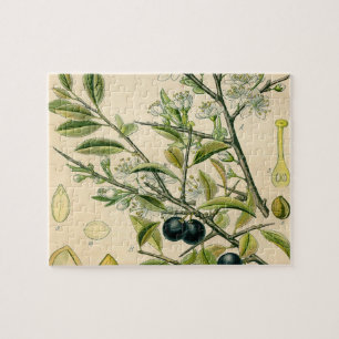 Antique Blackthorn botaniskt tryckfärdigt berry Pussel